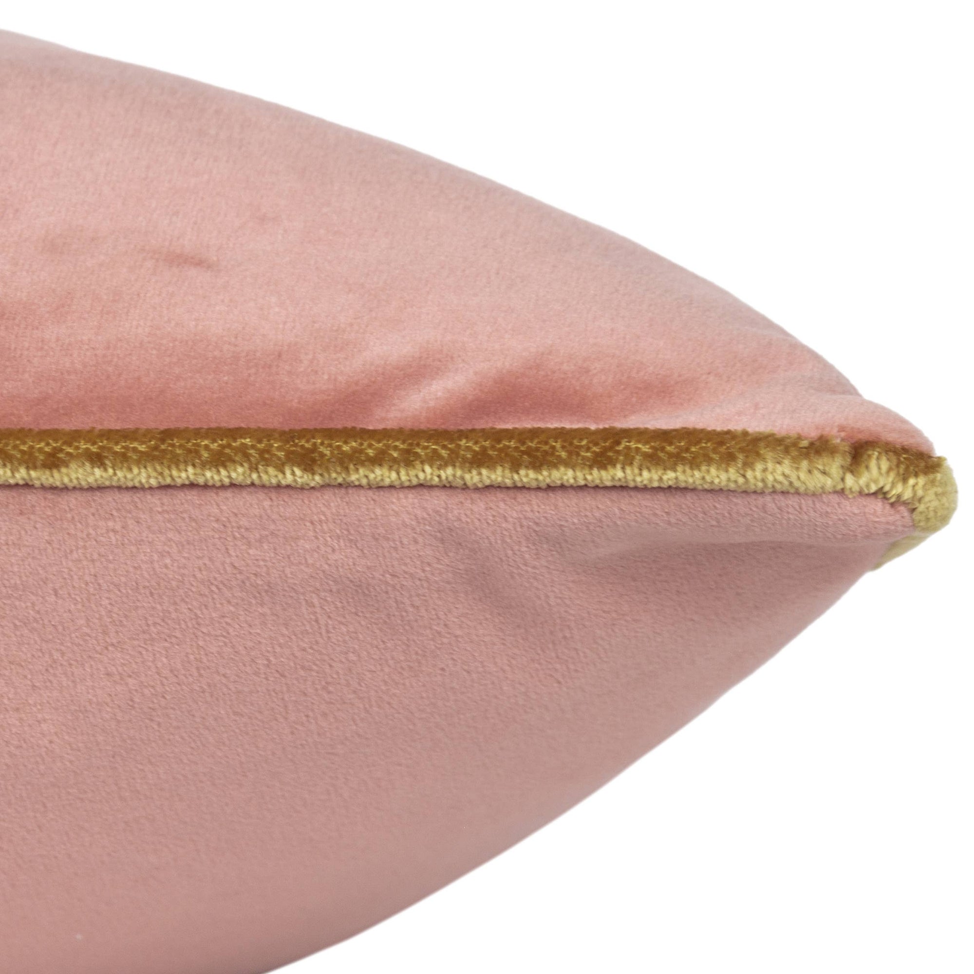 Meridian Velvet Cushion Blush/Gold: Blush/Gold / Feather Filled / 45 x 45cm - INSIDE HOUSE