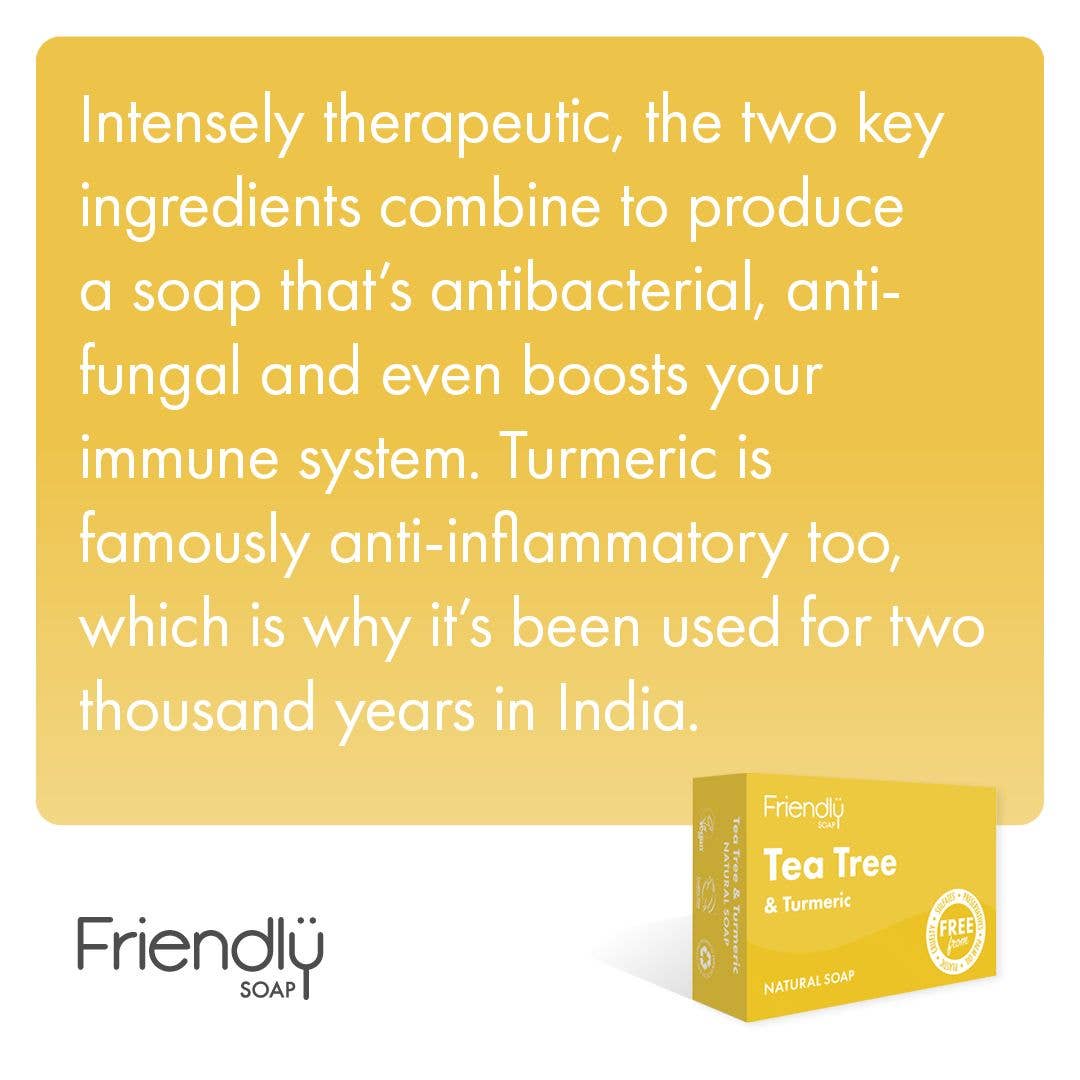 Tea Tree &amp; Turmeric Eco Friendly Soap Bar