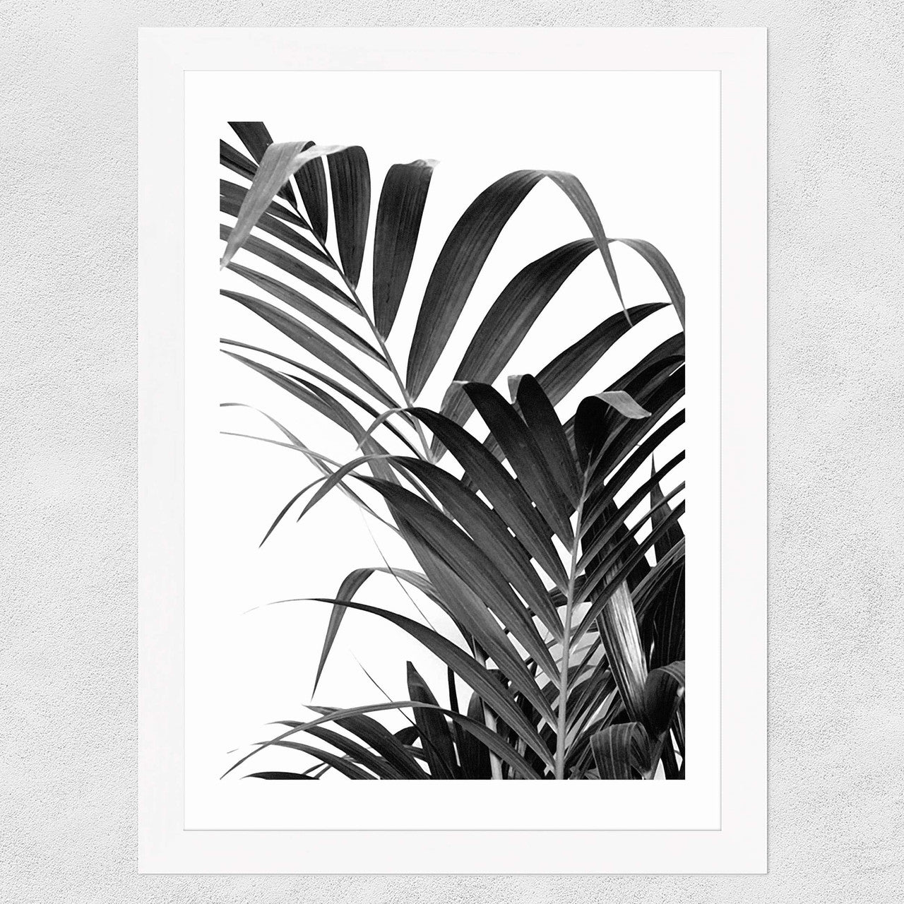 Palm Leaf 02