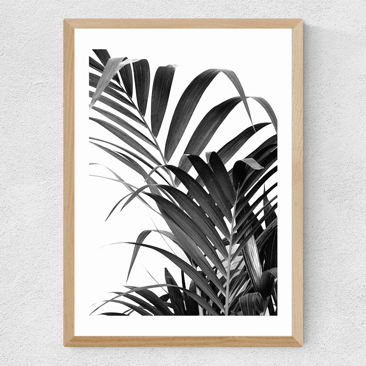 Palm Leaf 02