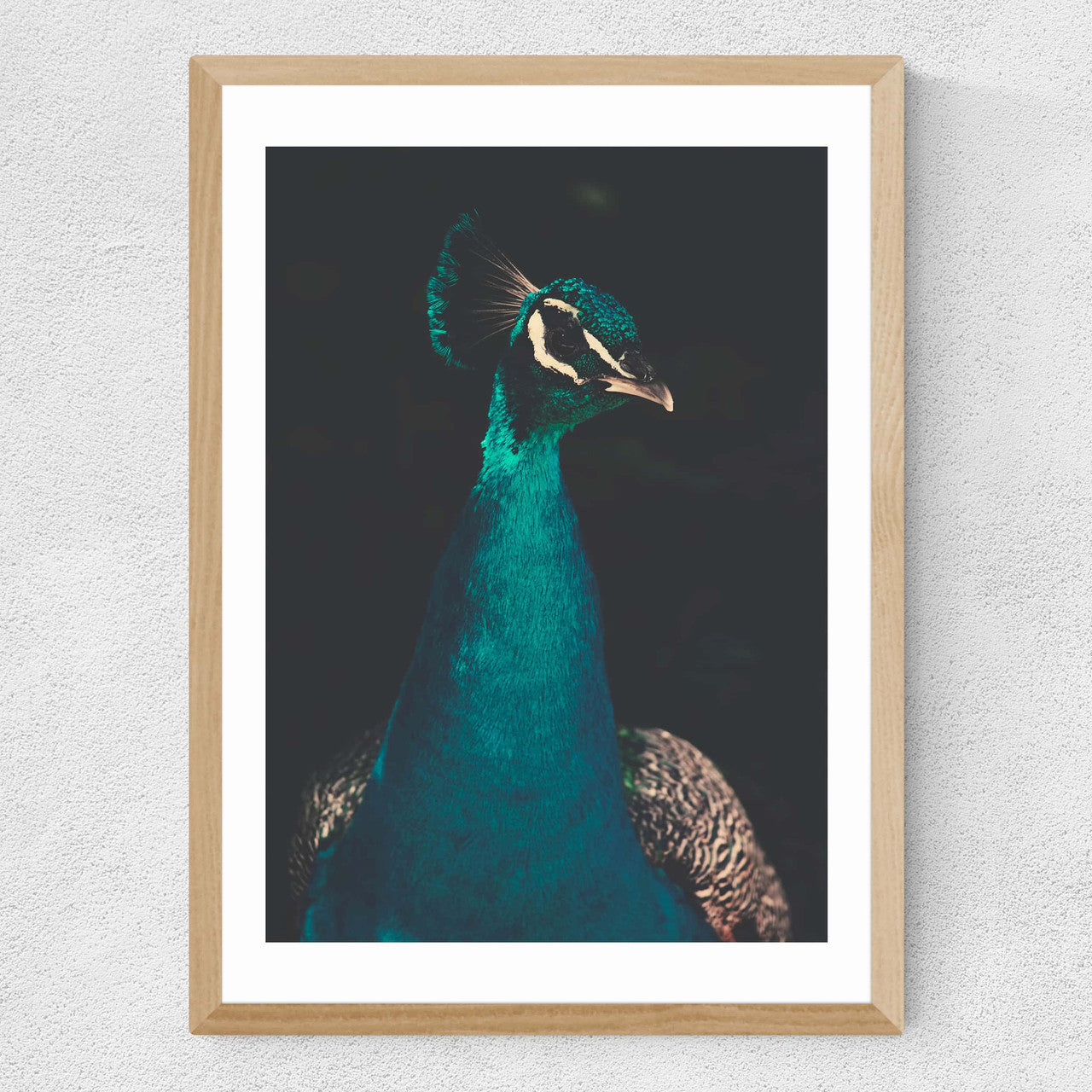 Peacock and Proud - INSIDE HOUSE