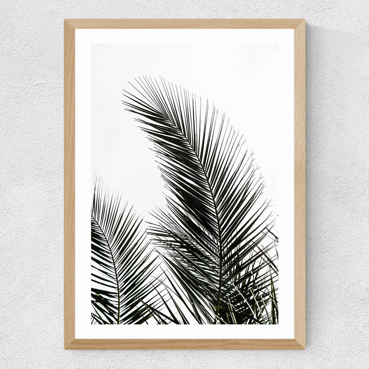 Palm Leaves 1