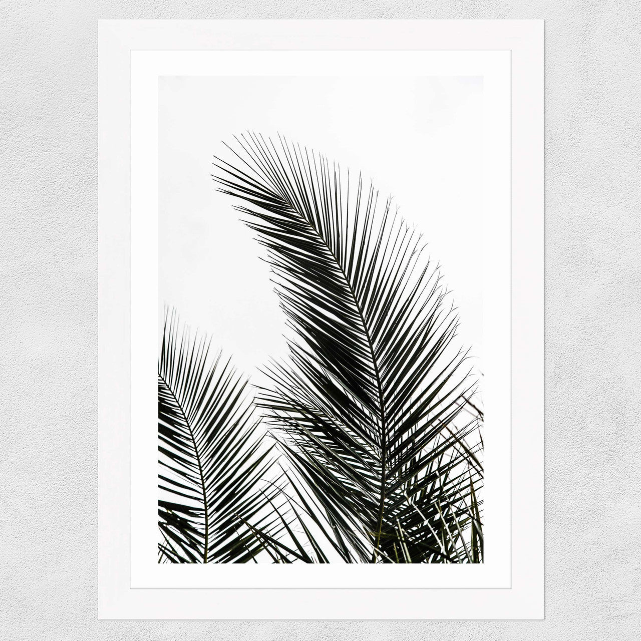 Palm Leaves 1