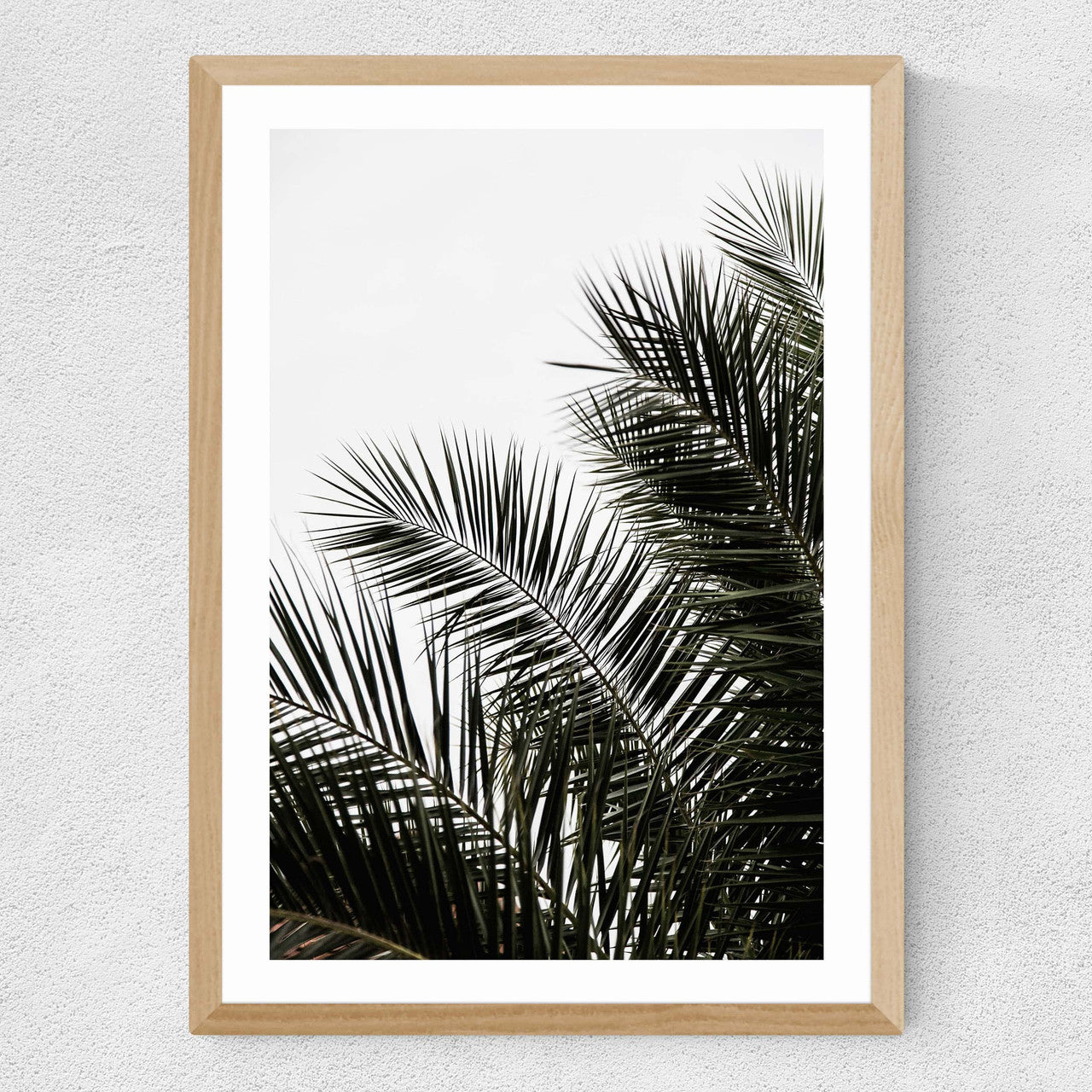 Palm Leaves 3