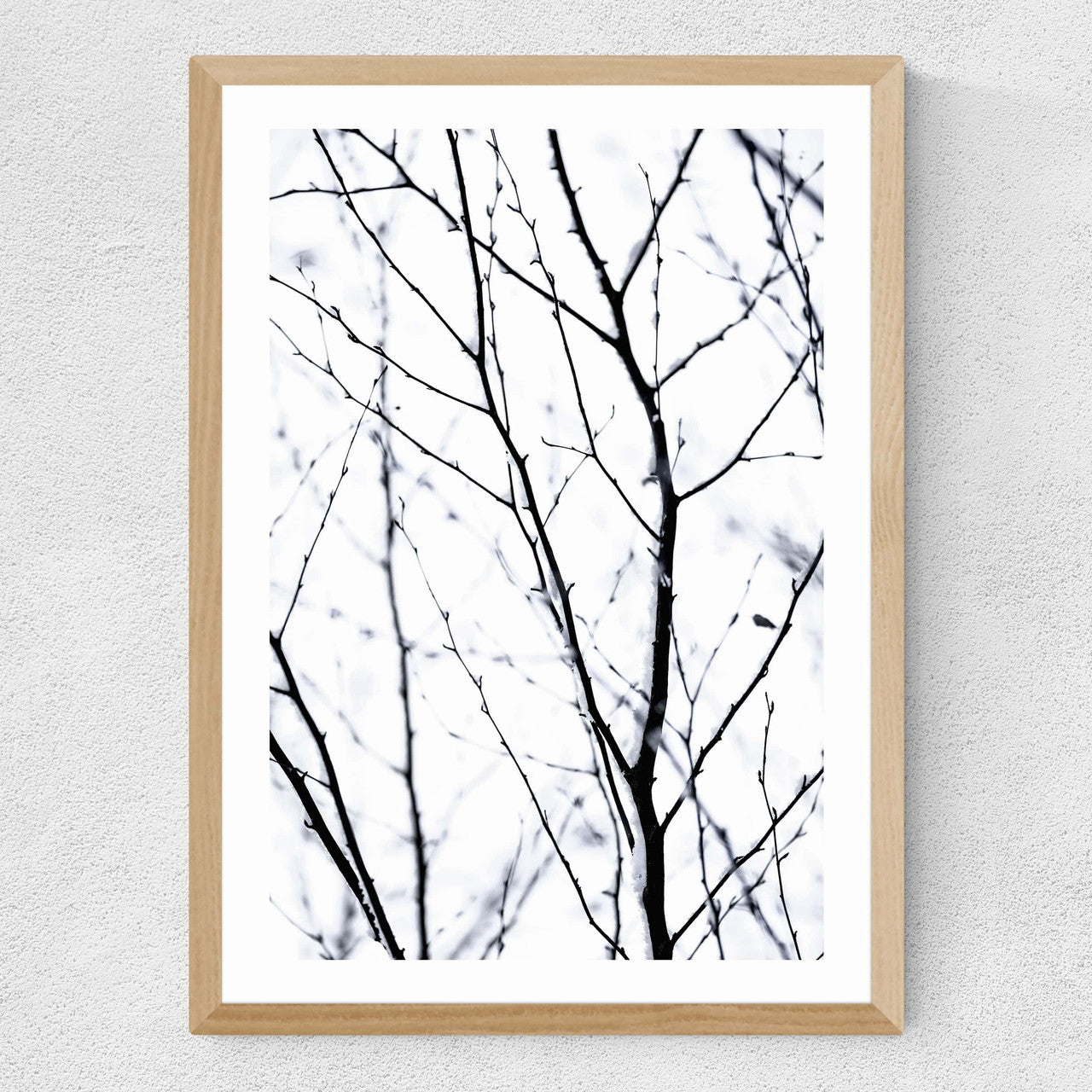 Winter Silhouettes 2