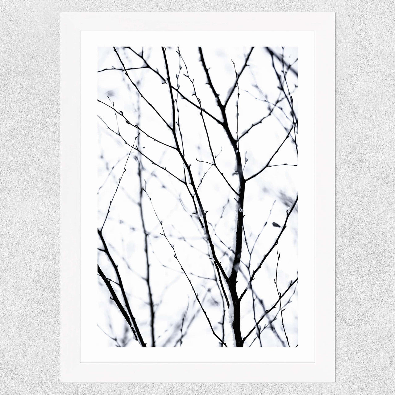 Winter Silhouettes 2