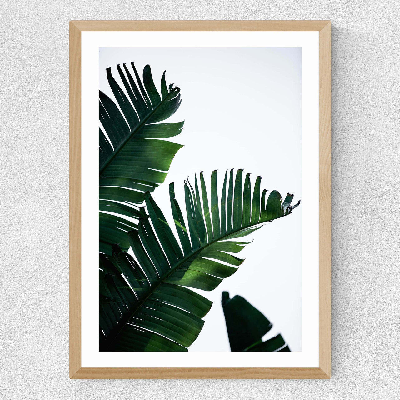 Palm Leaves - INSIDE HOUSE
