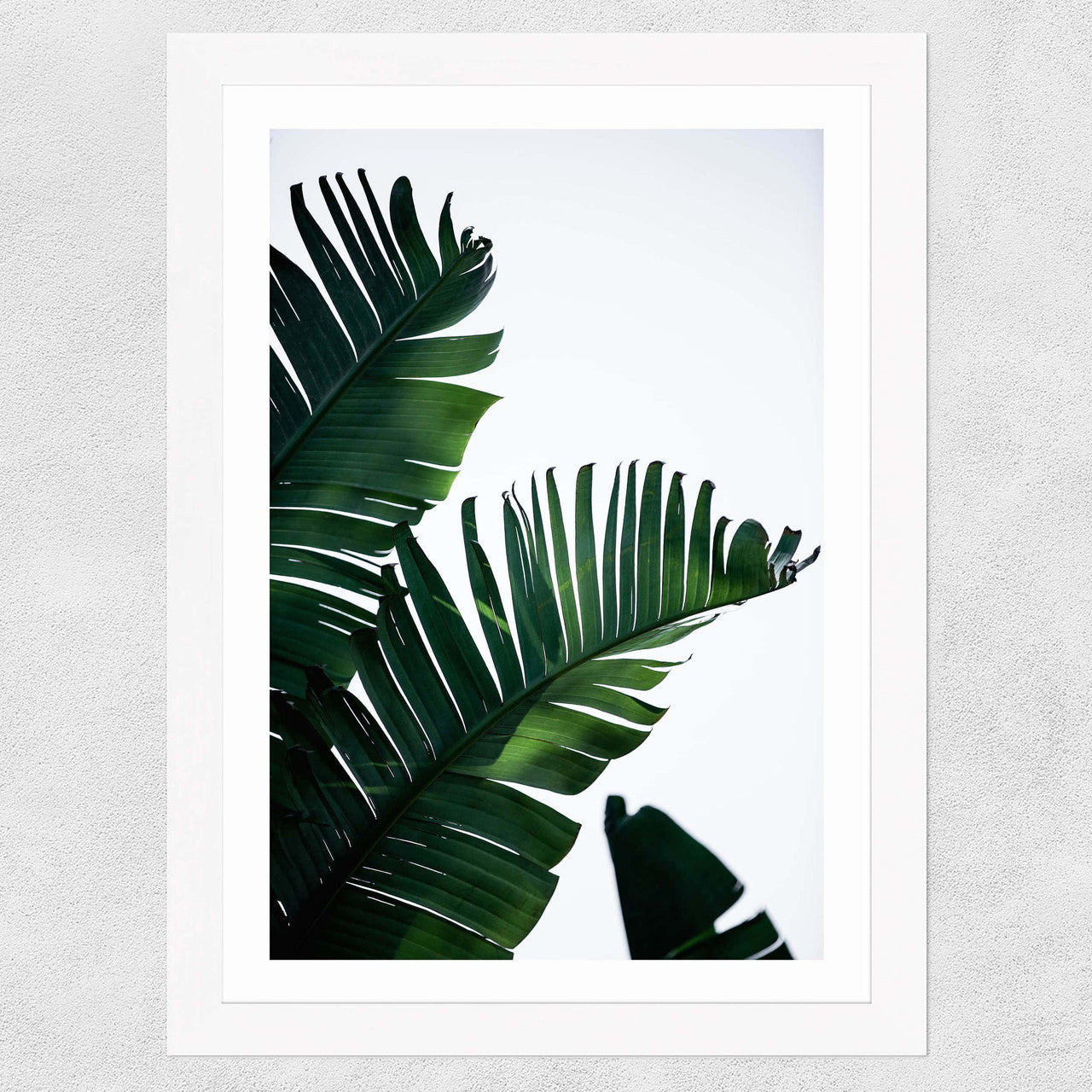 Palm Leaves - INSIDE HOUSE