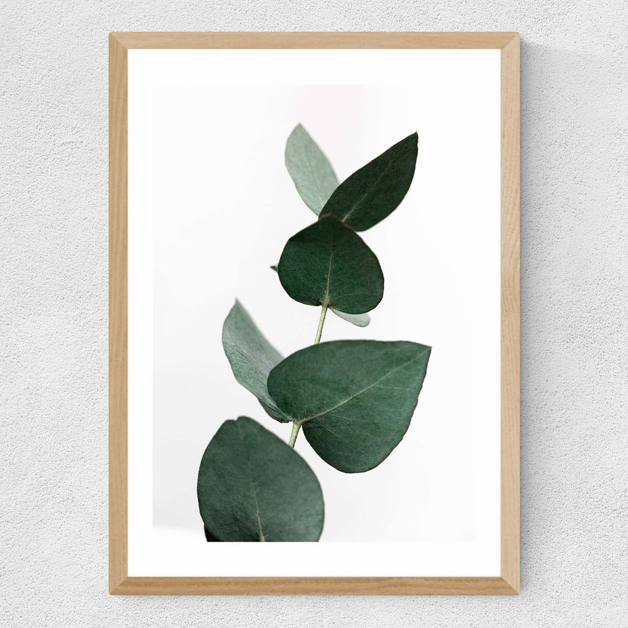 Eucalyptus 4 - INSIDE HOUSE