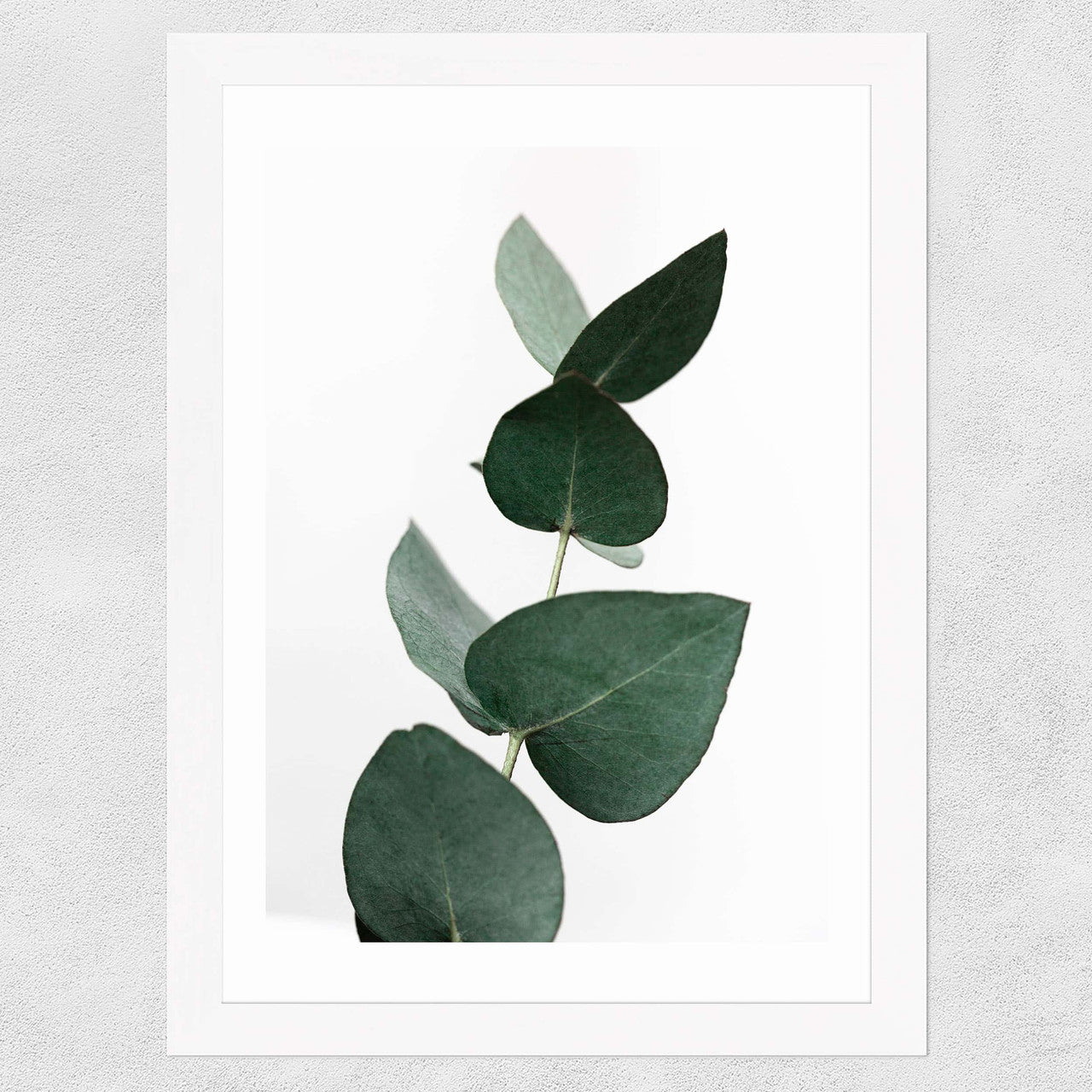 Eucalyptus 4 - INSIDE HOUSE