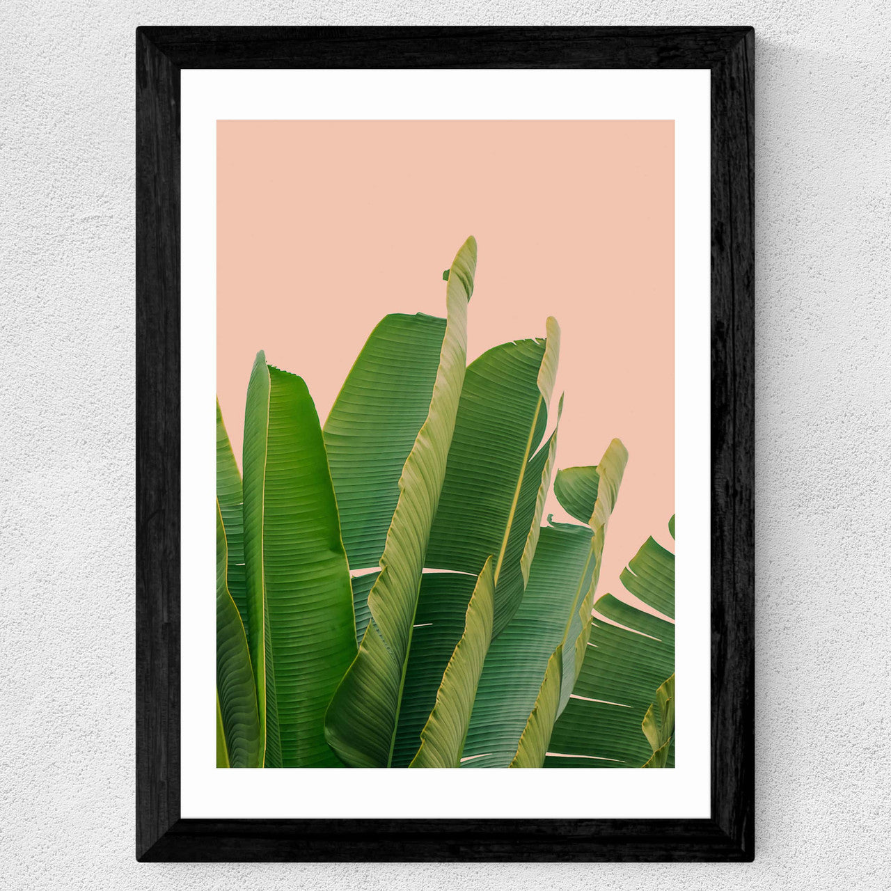 Banana Leaves - INSIDE HOUSE