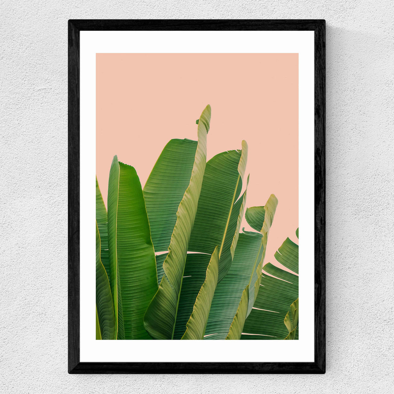 Banana Leaves - INSIDE HOUSE