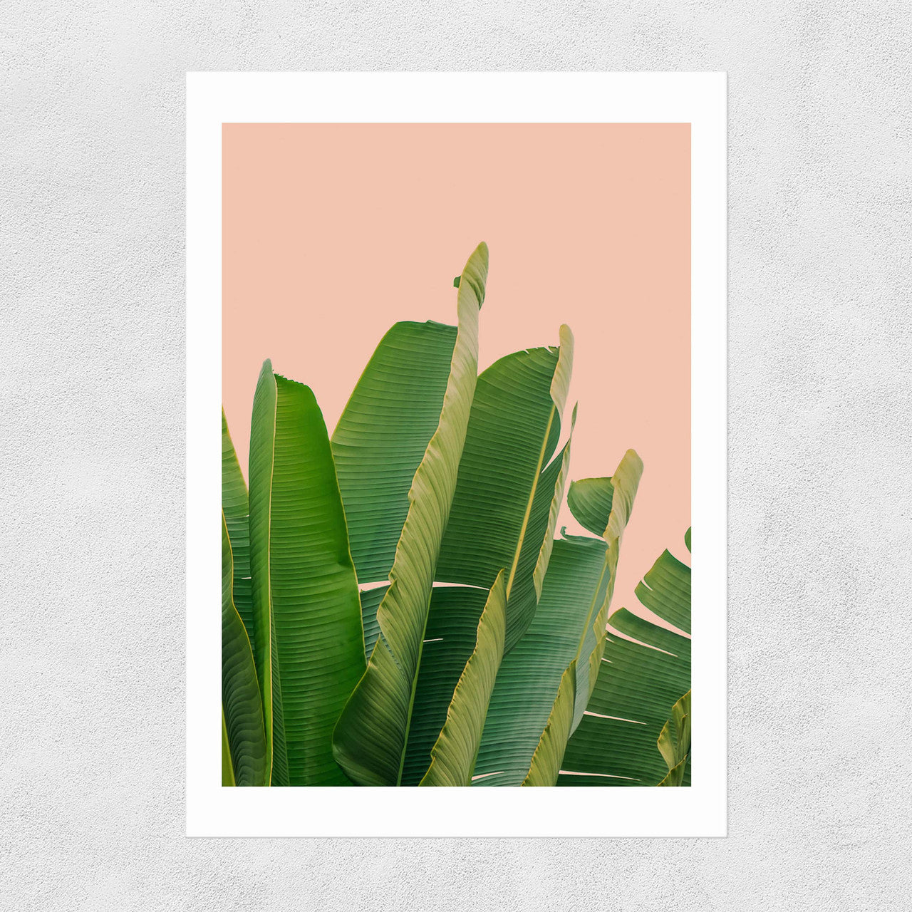 Banana Leaves - INSIDE HOUSE