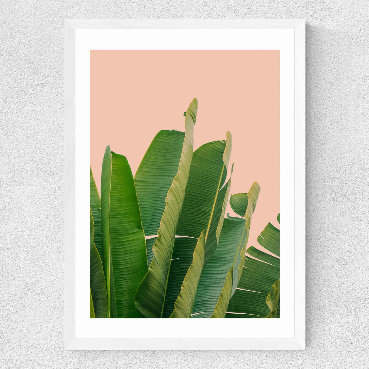 Banana Leaves - INSIDE HOUSE