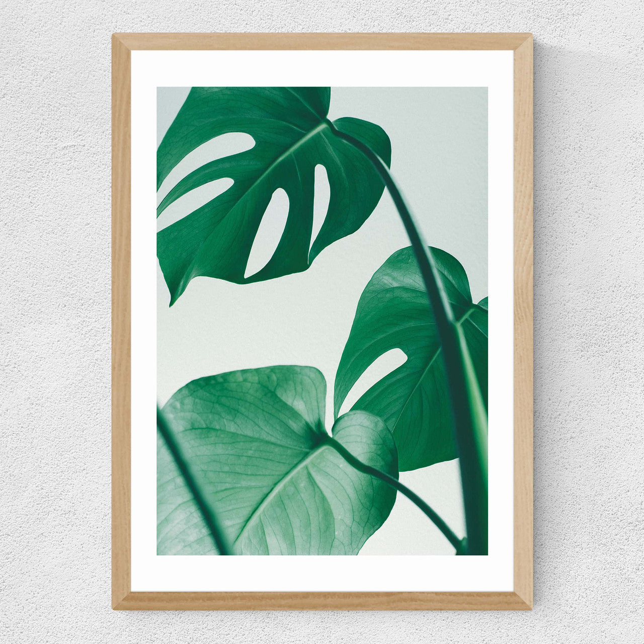 Monstera by Rafael Farias - INSIDE HOUSE