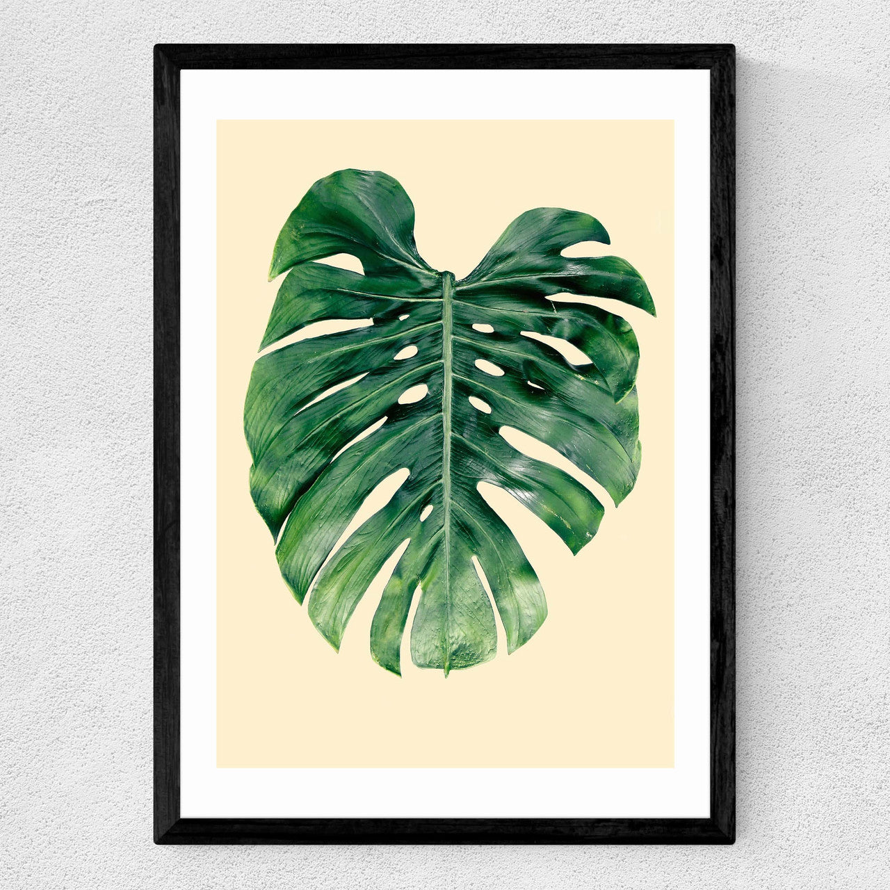 Monstera Leaf by Rafael Farias - INSIDE HOUSE