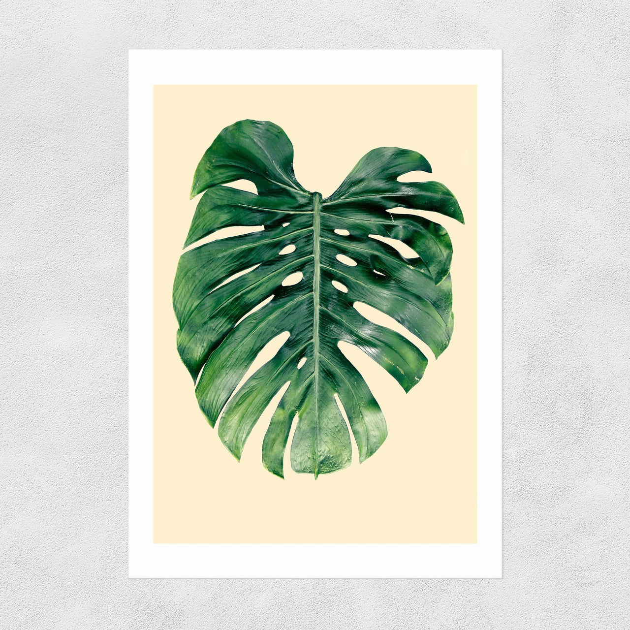 Monstera Leaf by Rafael Farias - INSIDE HOUSE