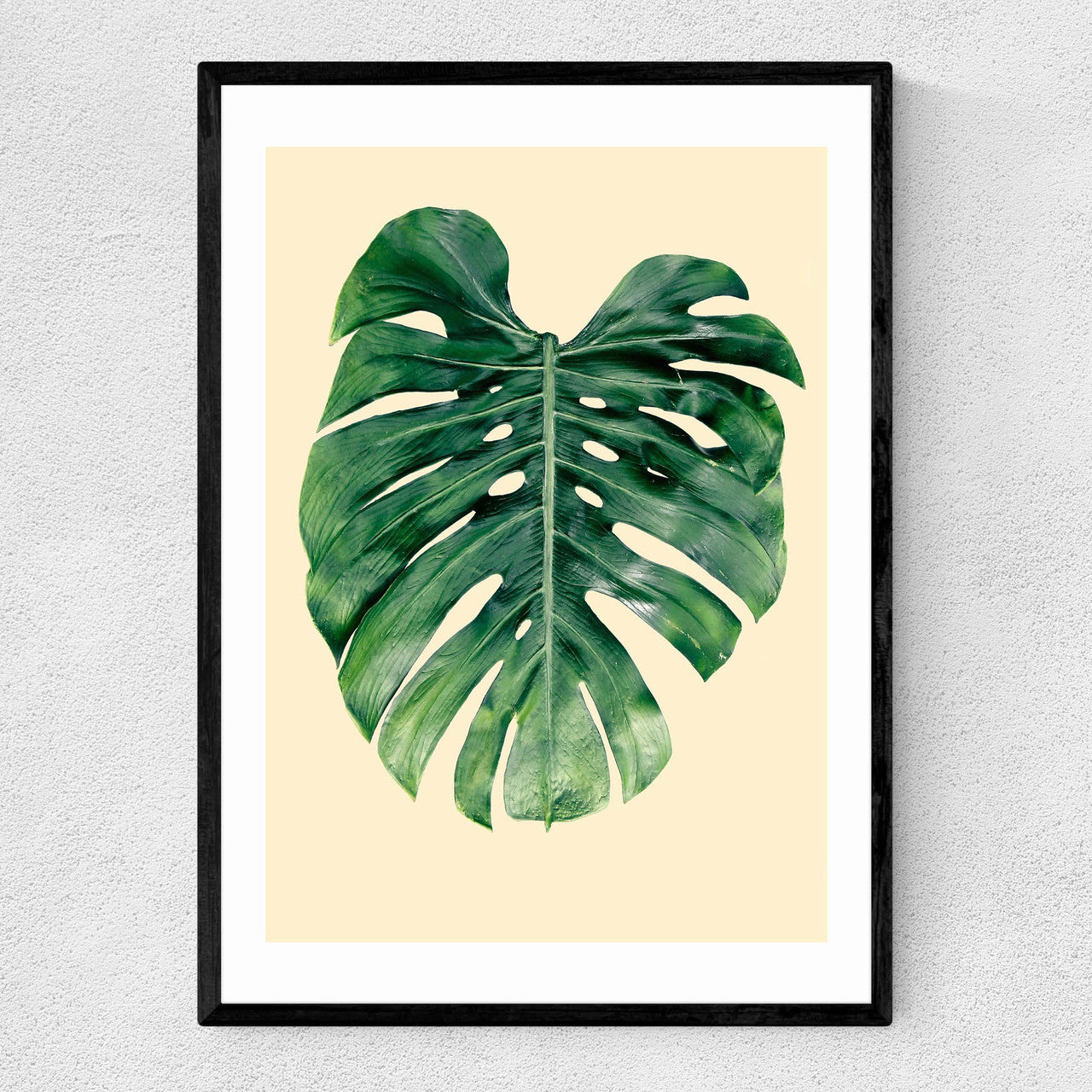 Monstera Leaf by Rafael Farias - INSIDE HOUSE
