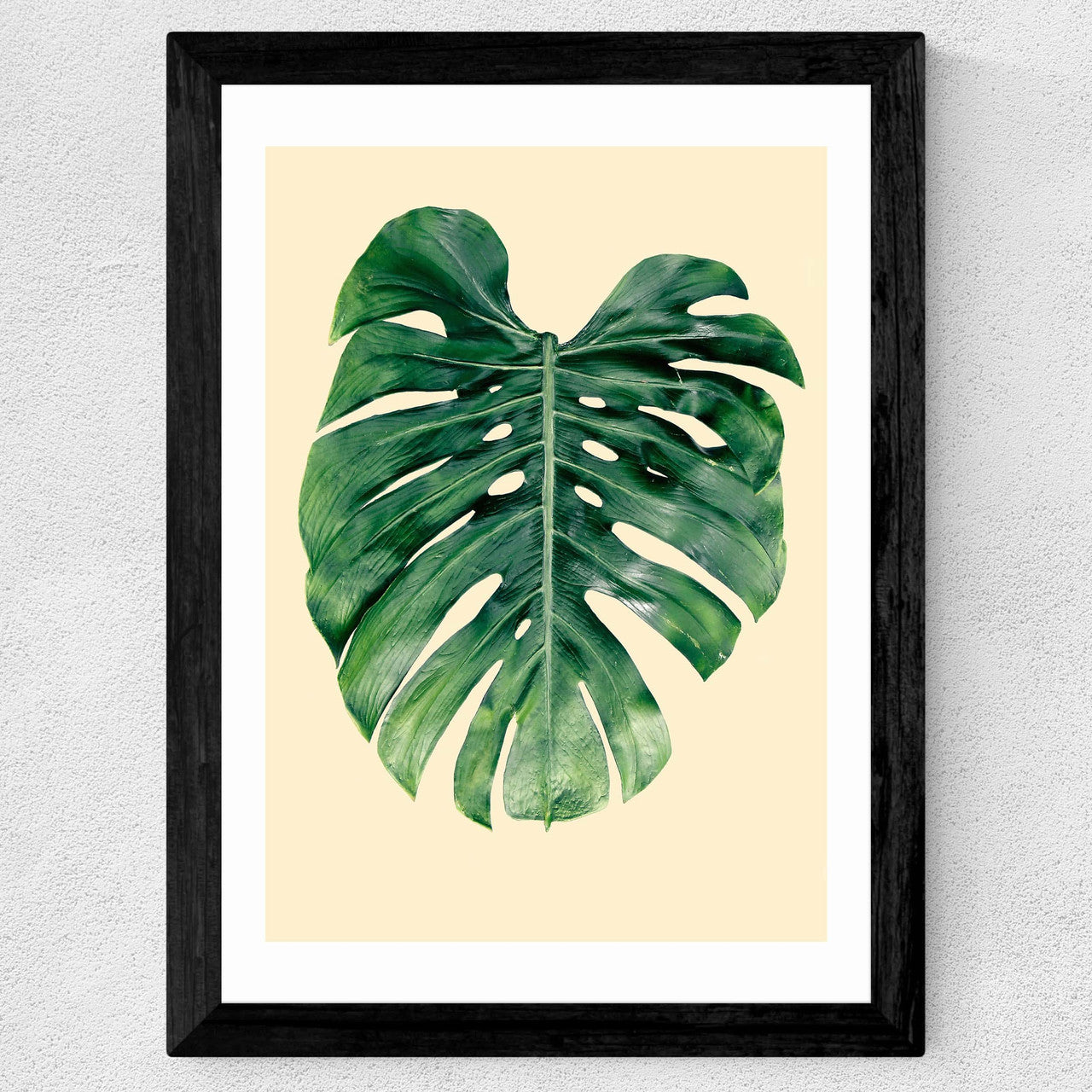 Monstera Leaf by Rafael Farias - INSIDE HOUSE