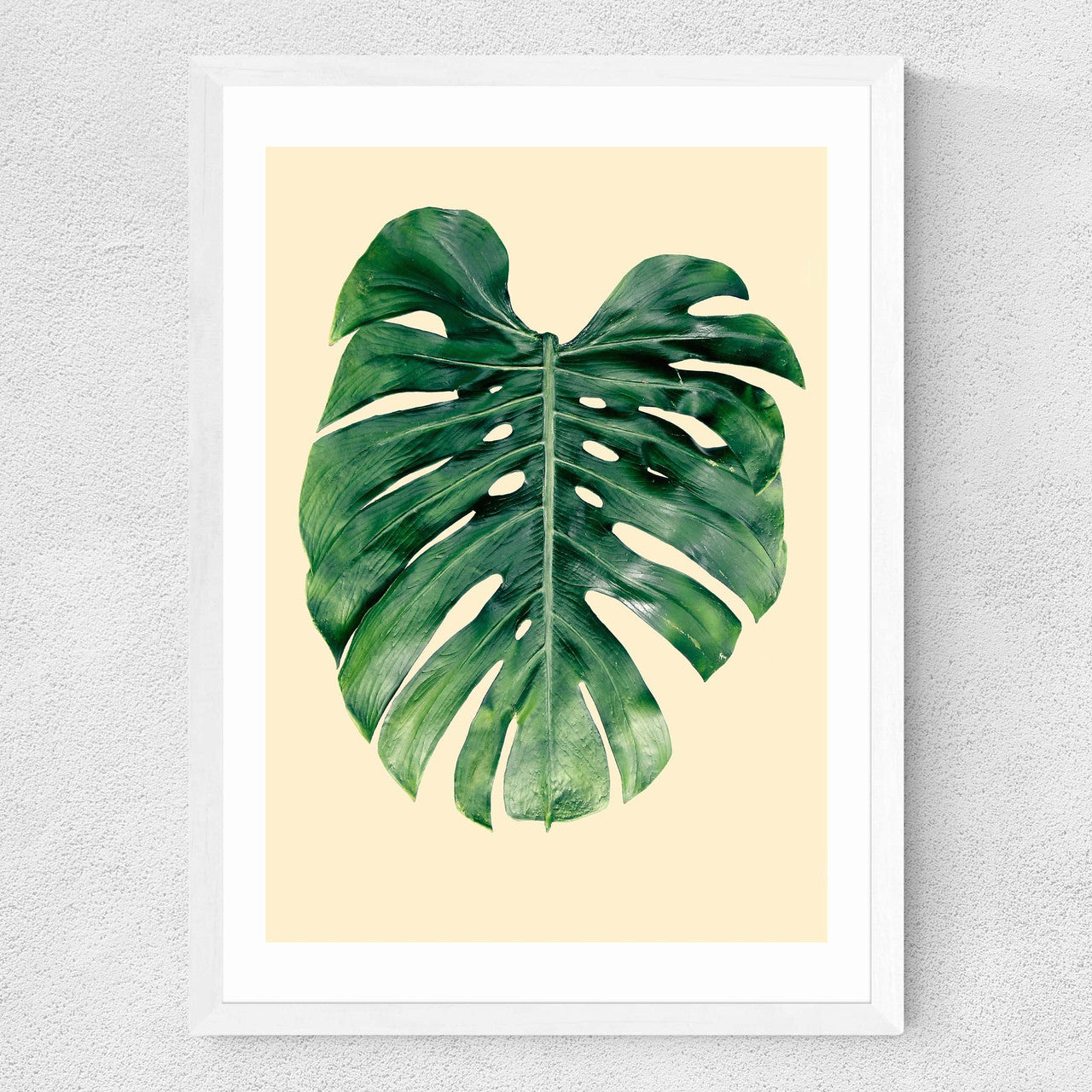 Monstera Leaf by Rafael Farias - INSIDE HOUSE
