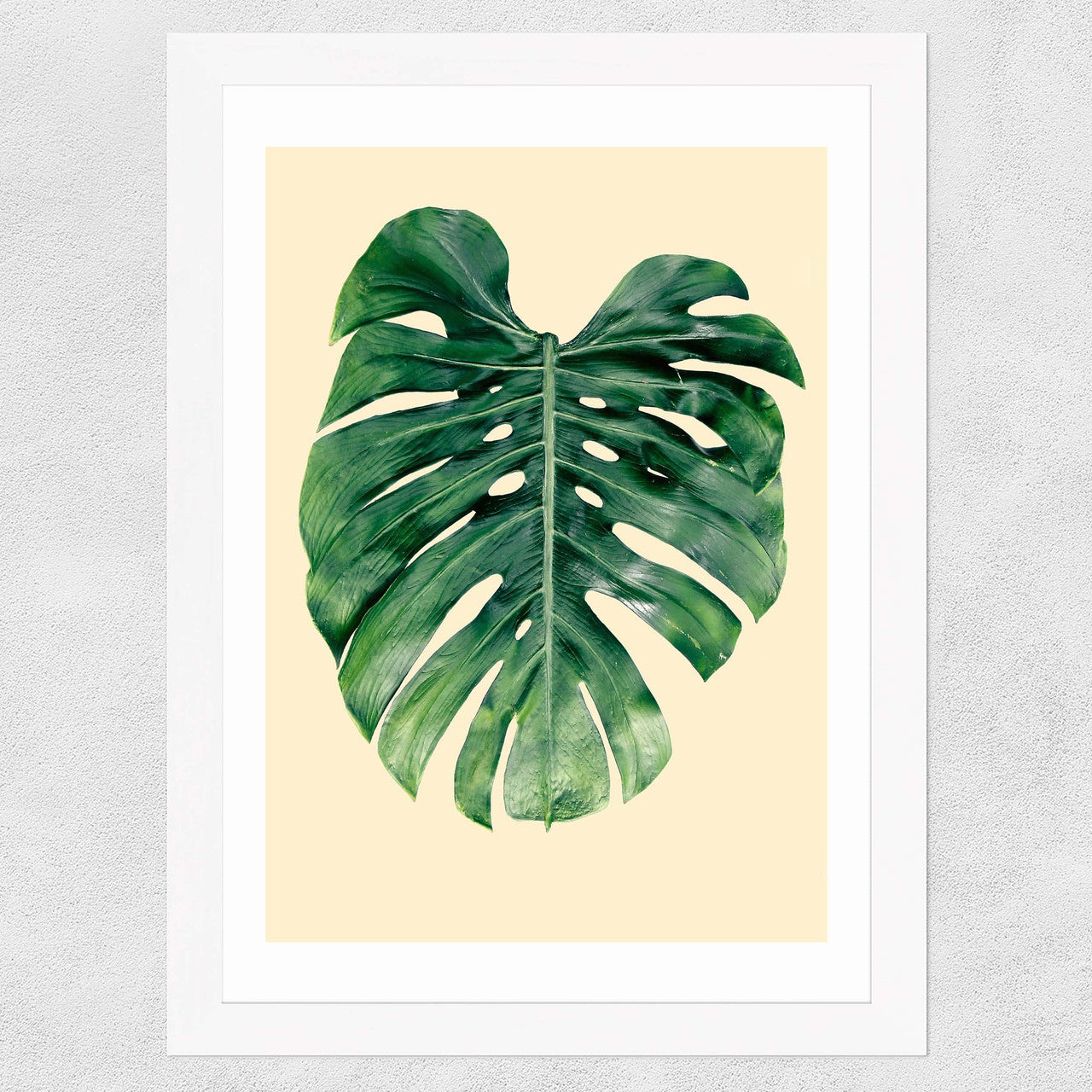 Monstera Leaf by Rafael Farias - INSIDE HOUSE
