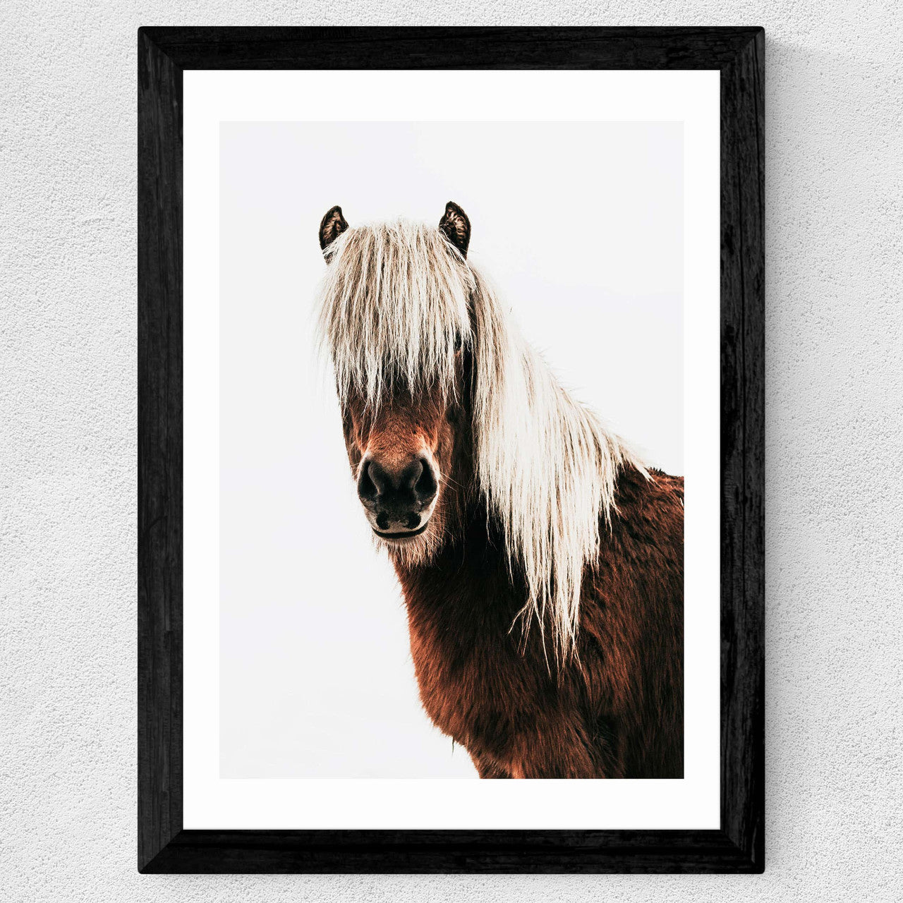 Horse by Rafael Farias - INSIDE HOUSE