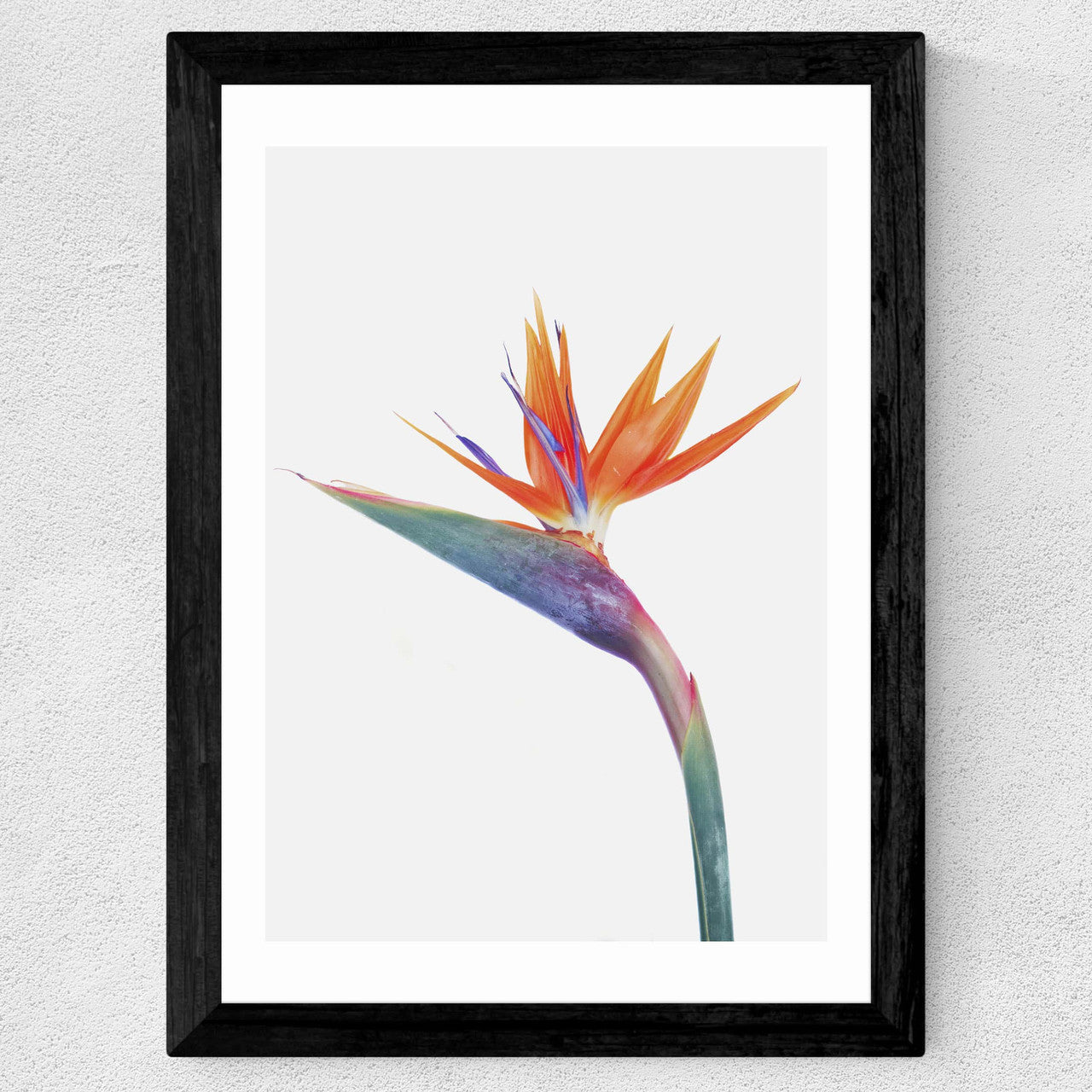 Exuberance - INSIDE HOUSE