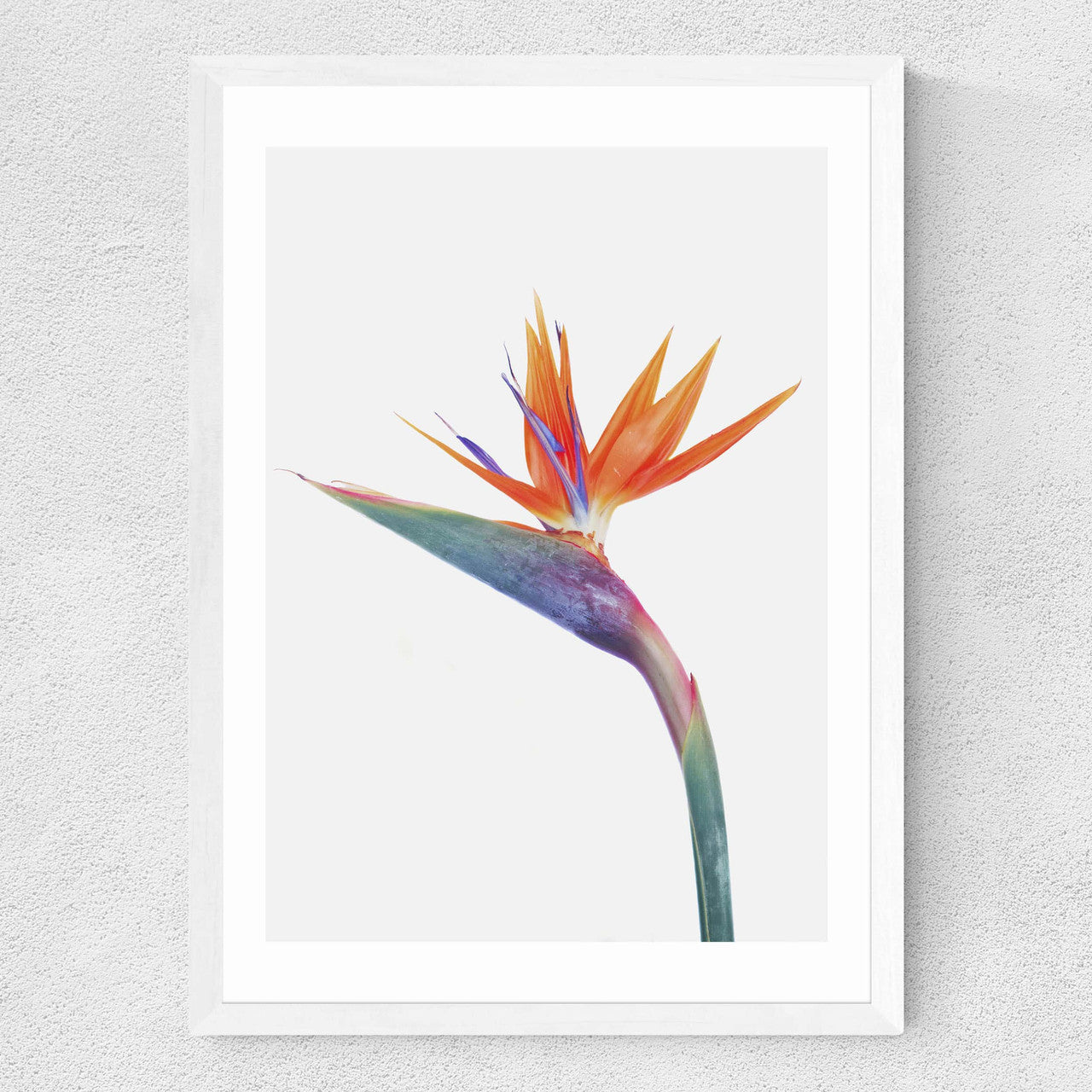 Exuberance - INSIDE HOUSE