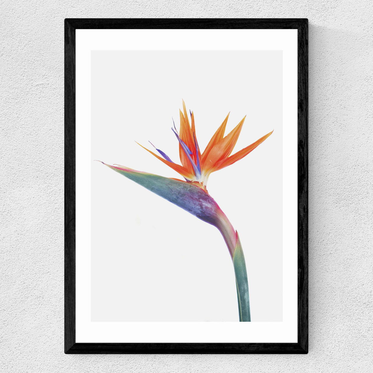 Exuberance - INSIDE HOUSE