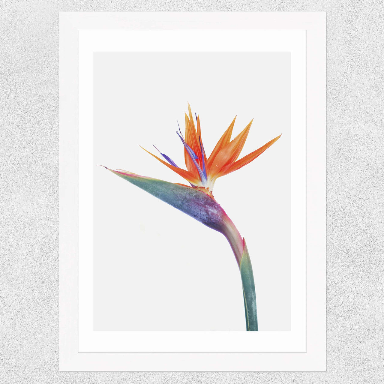 Exuberance - INSIDE HOUSE