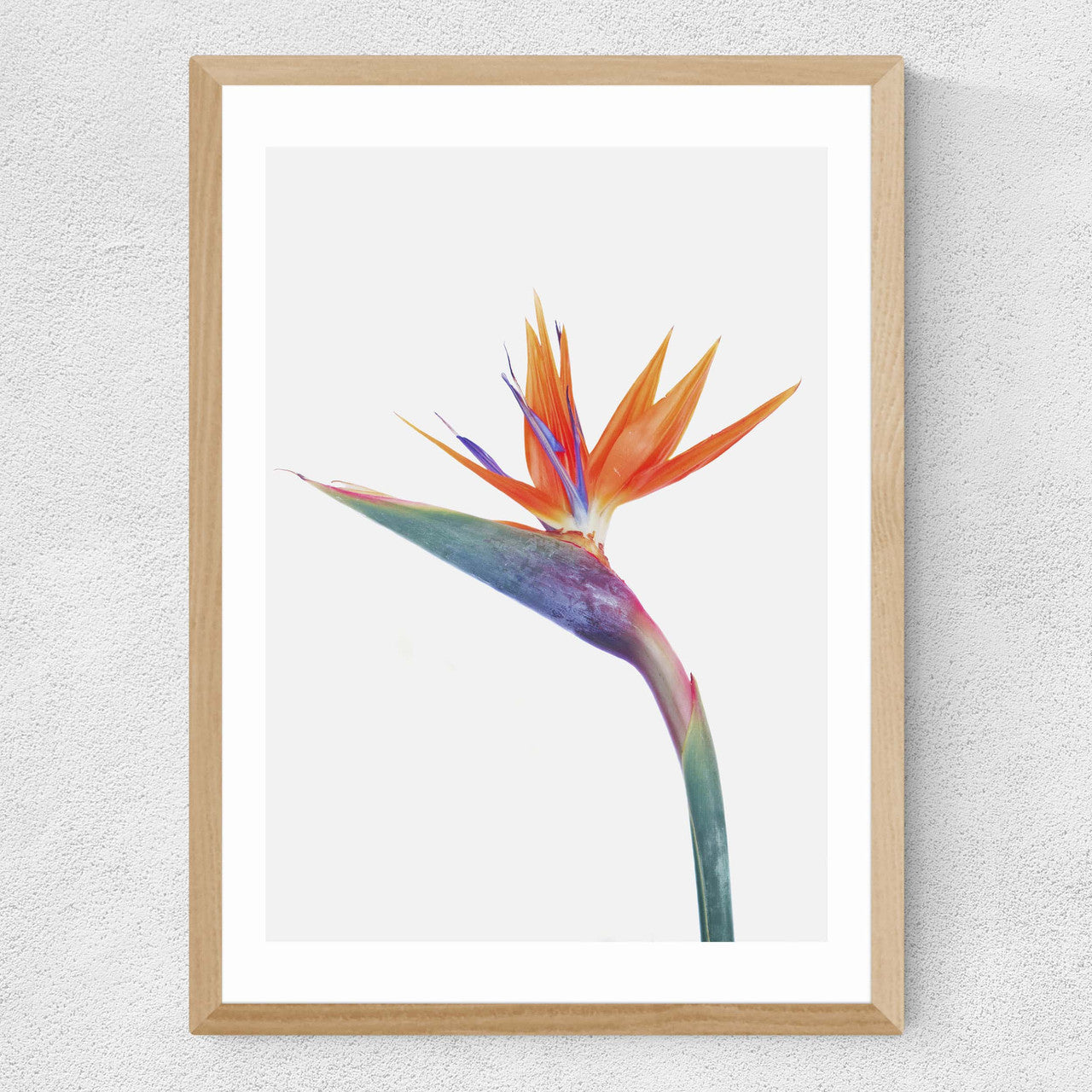 Exuberance - INSIDE HOUSE