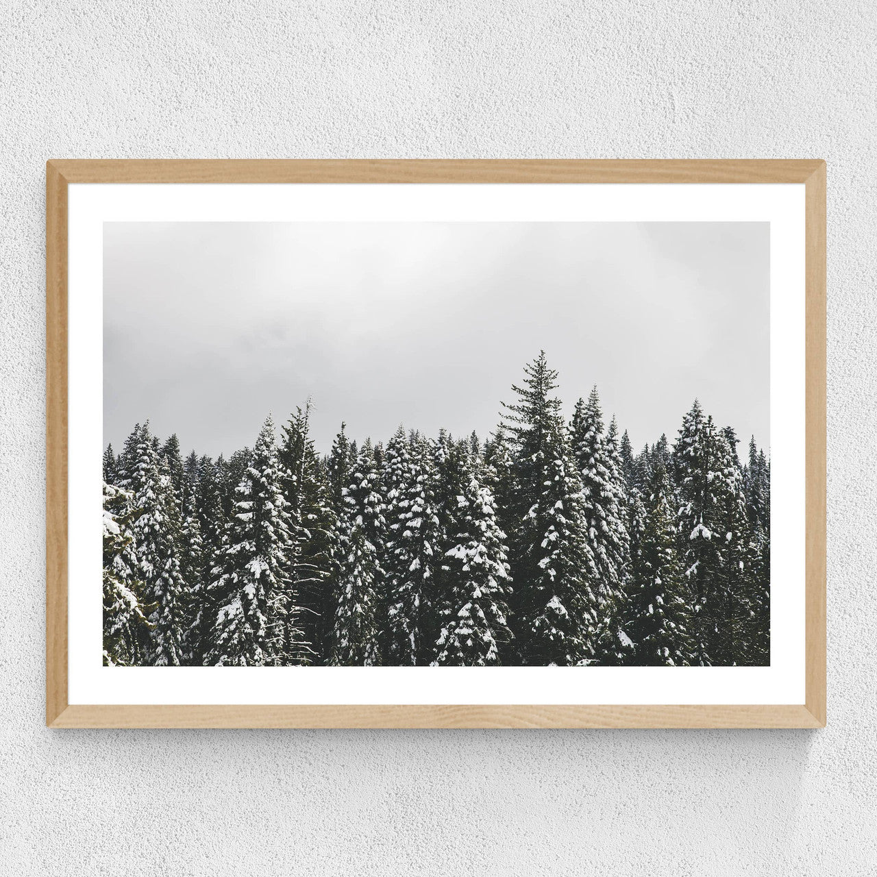 Snow Trees