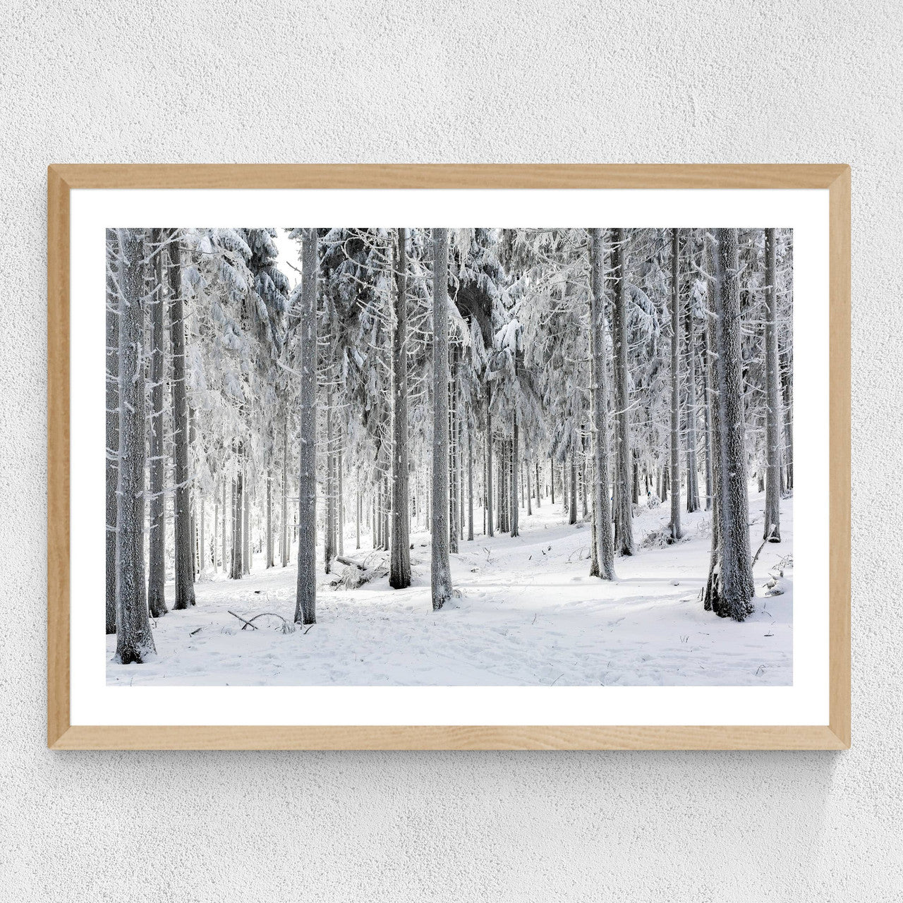 Winter Trees 2