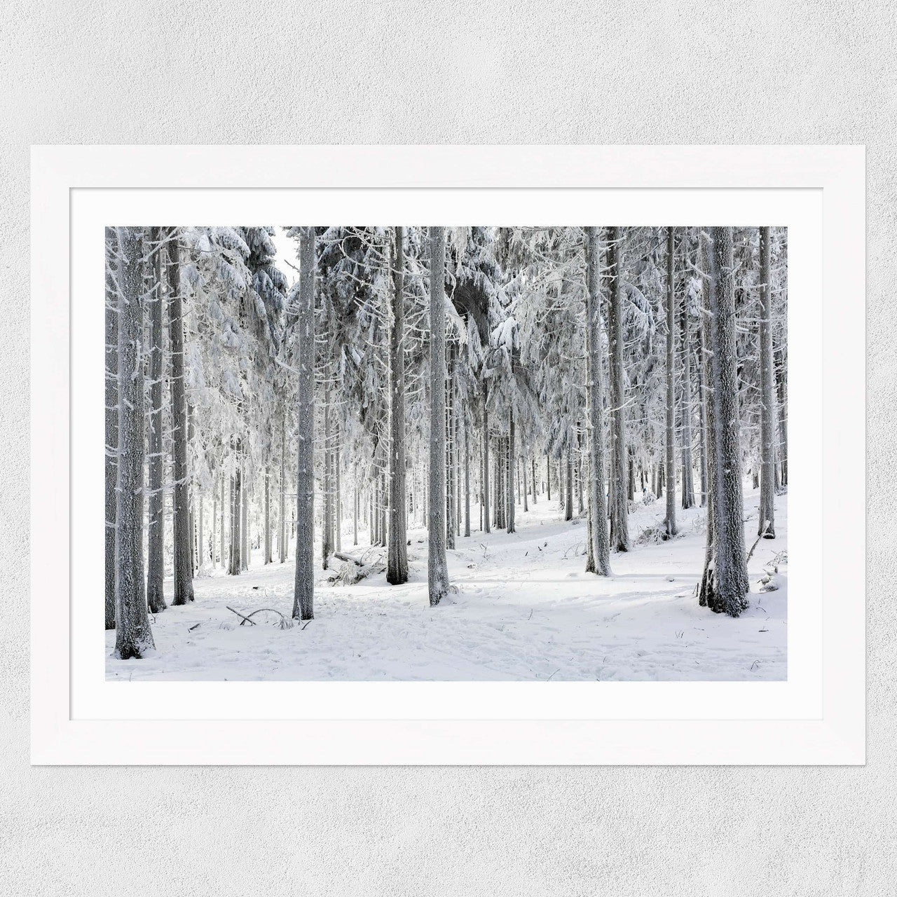 Winter Trees 2