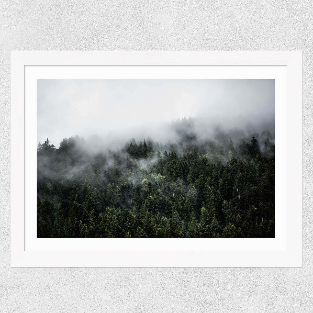 Foggy Hills 2
