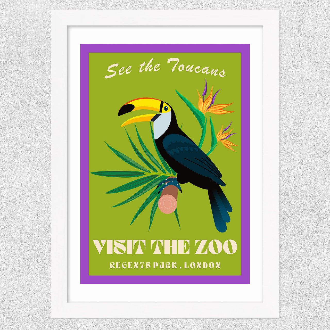 Zoo Toucan