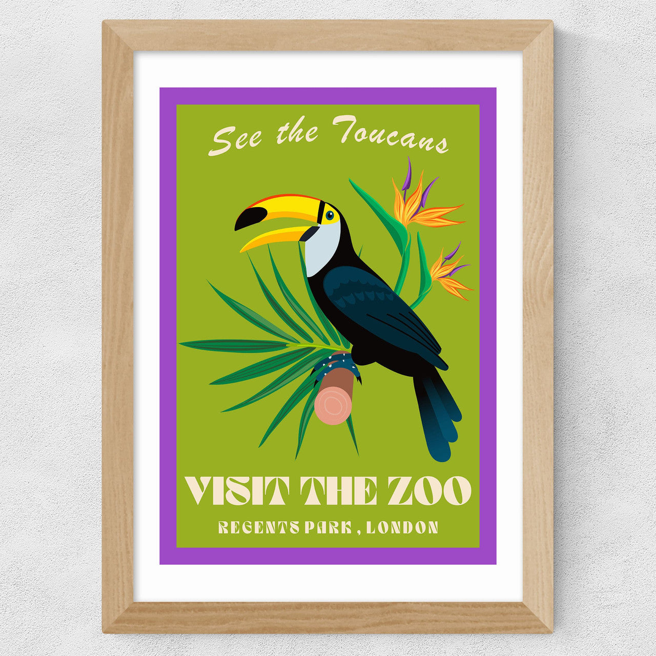 Zoo Toucan