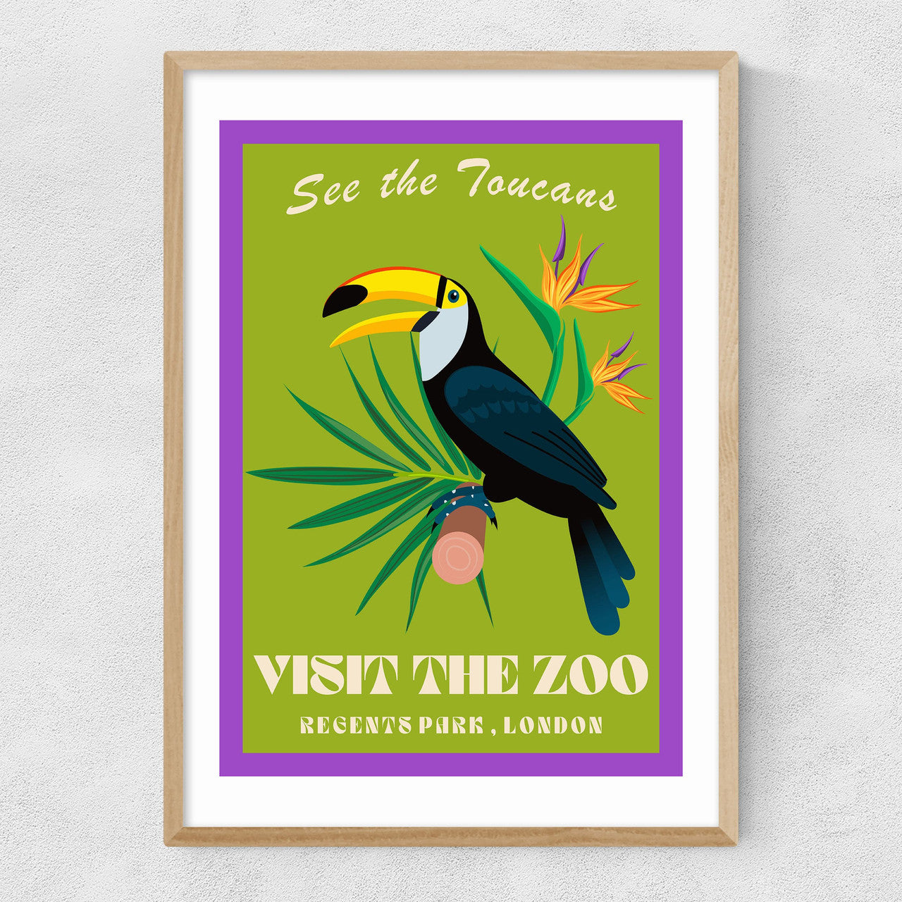 Zoo Toucan