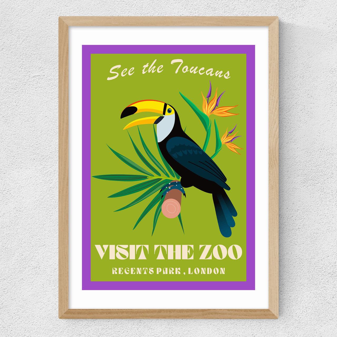 Zoo Toucan