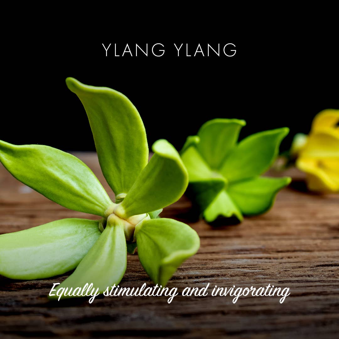 Ylang Ylang Eco Friendly Soap Bar