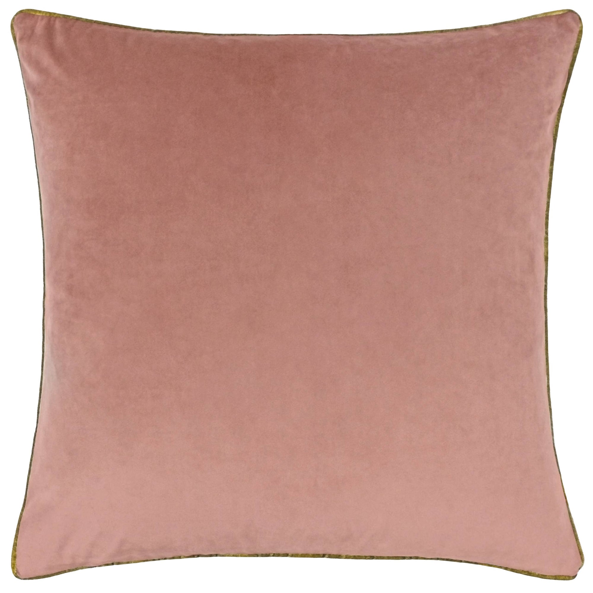 Meridian Velvet Cushion Blush/Gold: Blush/Gold / Feather Filled / 45 x 45cm - INSIDE HOUSE