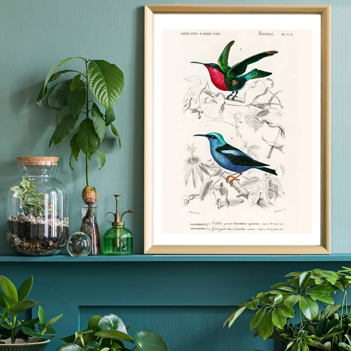 Hummingbird Vintage Paper Print