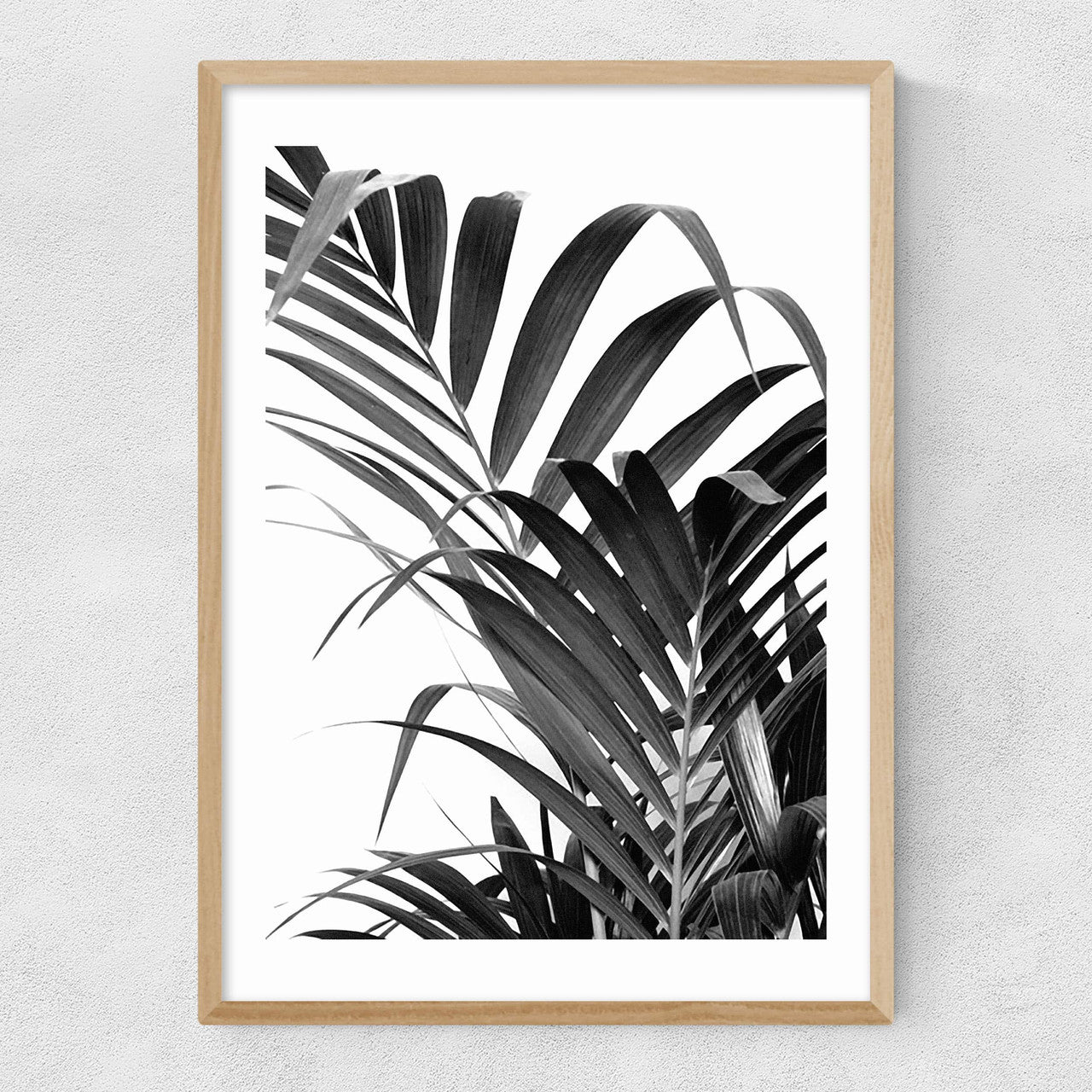 Palm Leaf 02