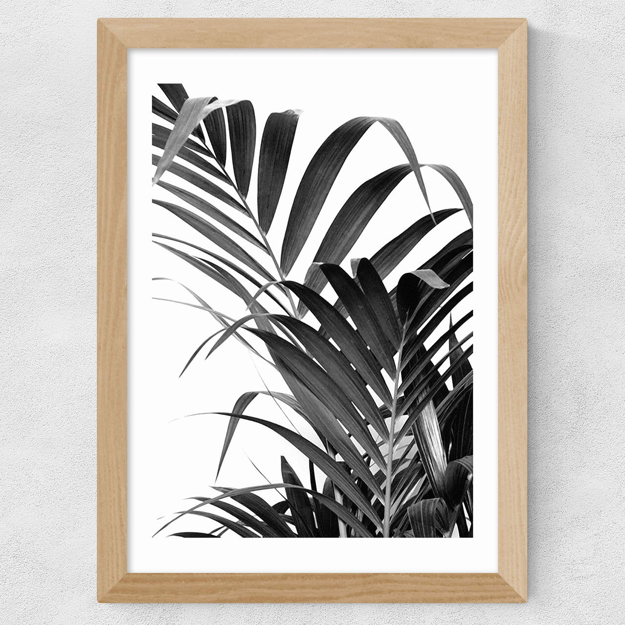 Palm Leaf 02