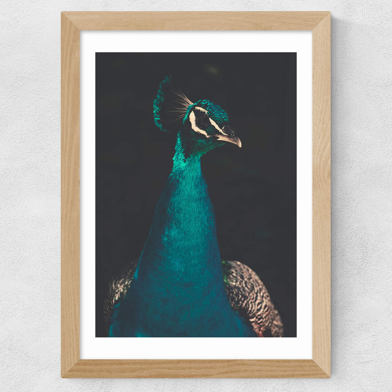 Peacock and Proud - INSIDE HOUSE