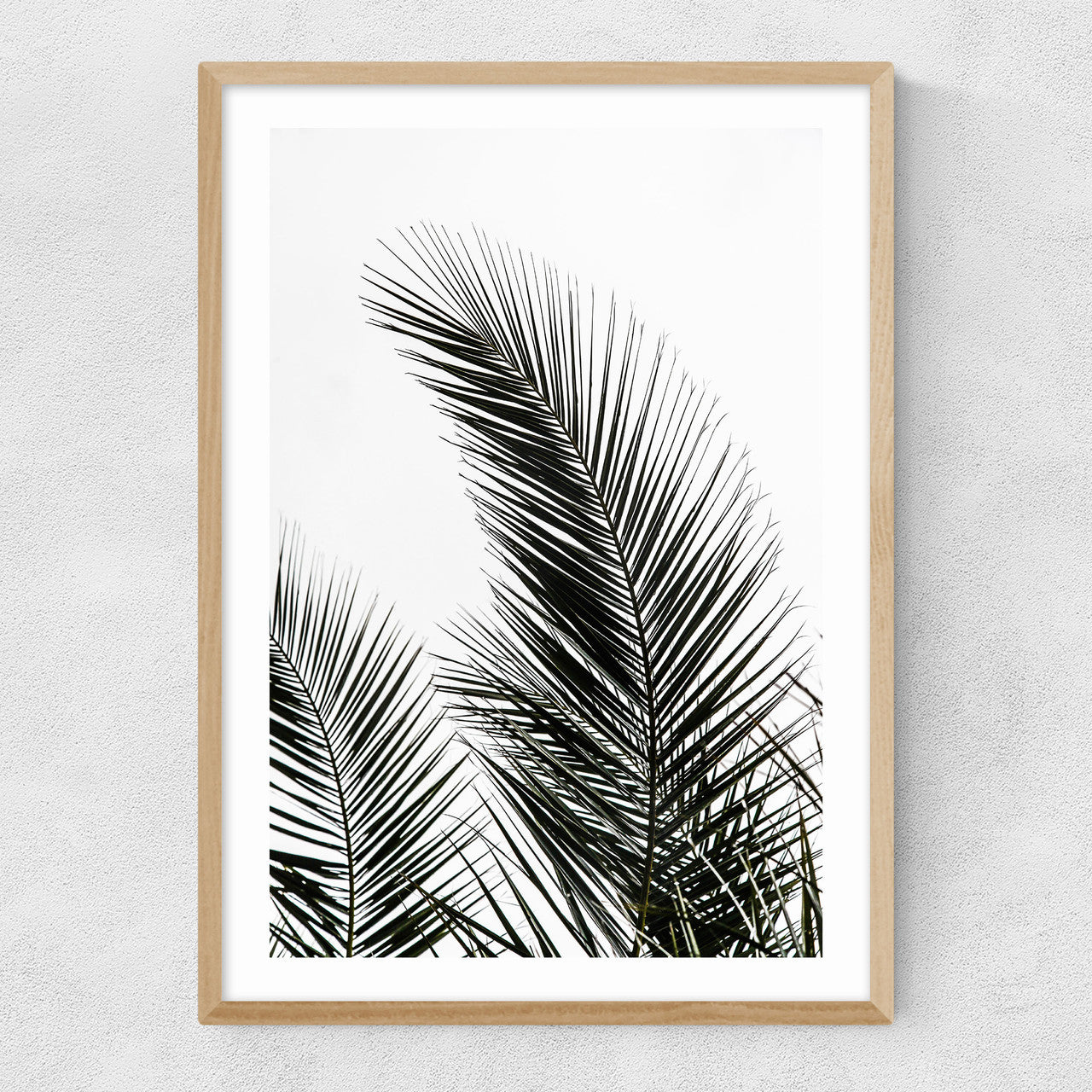 Palm Leaves 1