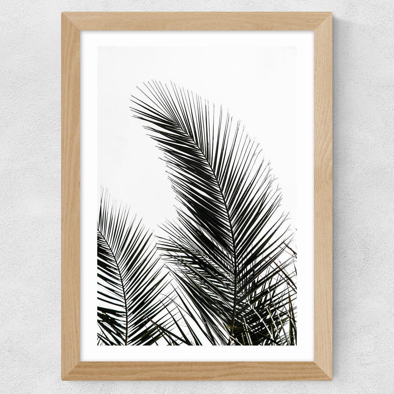 Palm Leaves 1
