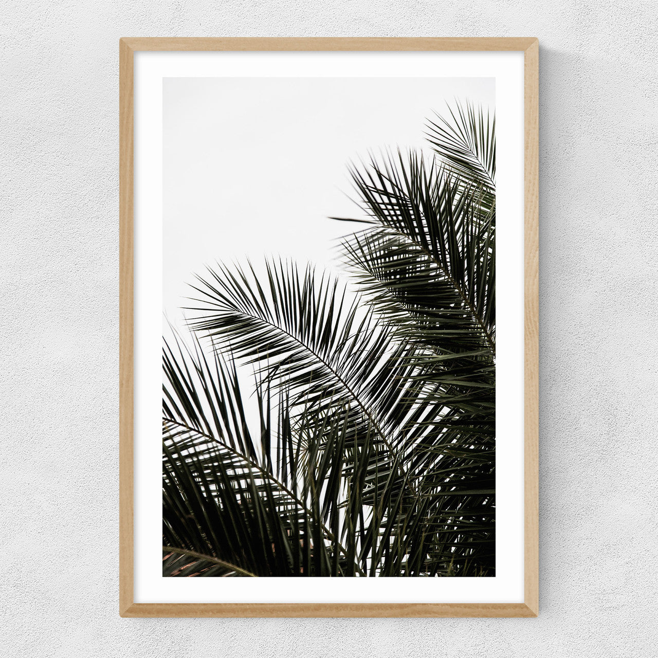 Palm Leaves 3