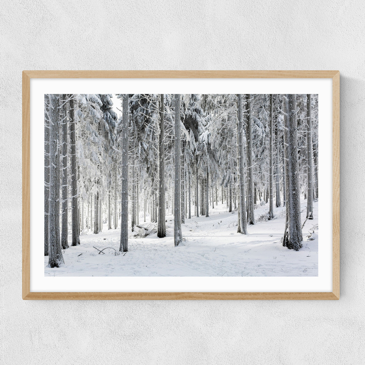 Winter Trees 2