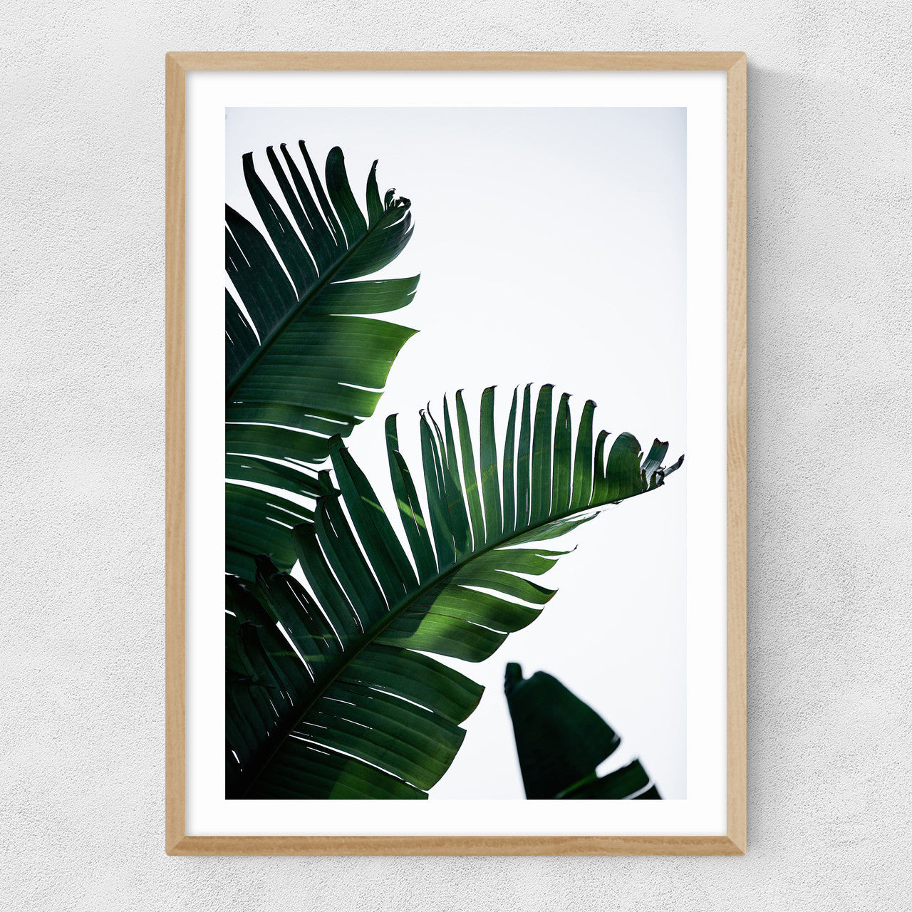 Palm Leaves - INSIDE HOUSE